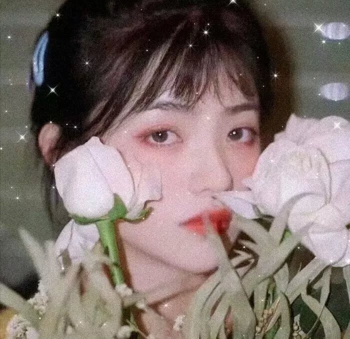 少年派